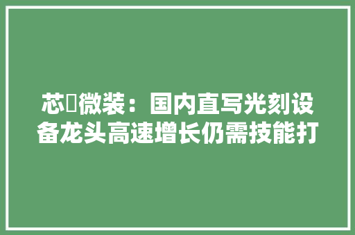 芯碁微装：国内直写光刻设备龙头高速增长仍需技能打破 芯碁微装：国内直写光刻设备龙头高速增长仍需技能打破 智能家居