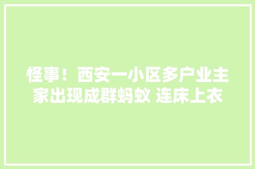 怪事！西安一小区多户业主家出现成群蚂蚁 连床上衣柜饭菜里都有