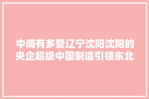 中间有多爱辽宁沈阳沈阳的央企超级中国制造引领东北老工业振兴