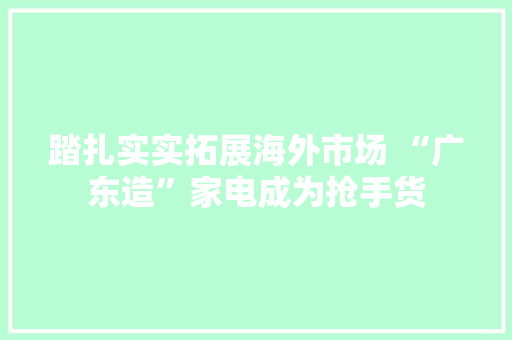 踏扎实实拓展海外市场 “广东造”家电成为抢手货