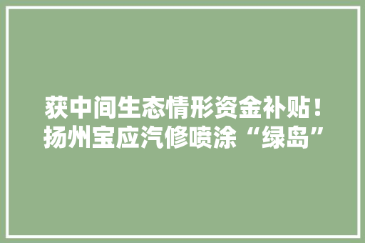 获中间生态情形资金补贴！扬州宝应汽修喷涂“绿岛”初具雏形