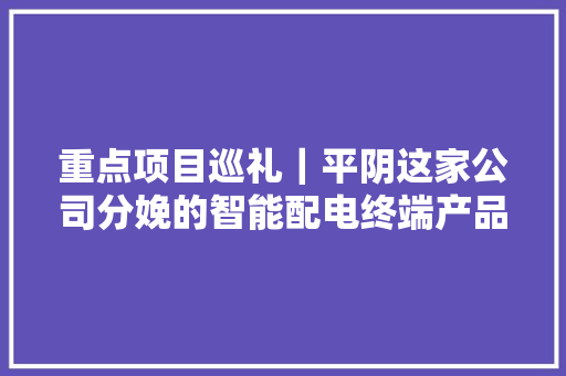 重点项目巡礼｜平阴这家公司分娩的智能配电终端产品达到国内前辈水平