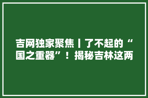 吉网独家聚焦丨了不起的“国之重器”！揭秘吉林这两所高校中的科技“秘密武器”