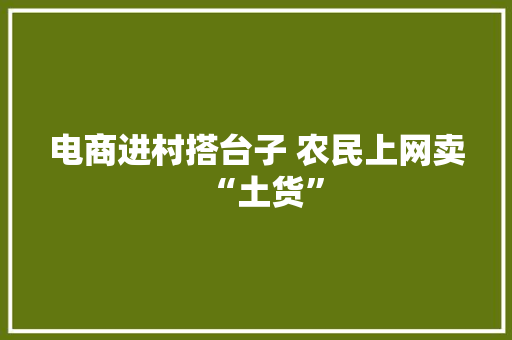 电商进村搭台子 农民上网卖“土货”