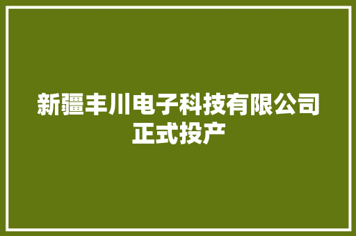 新疆丰川电子科技有限公司正式投产