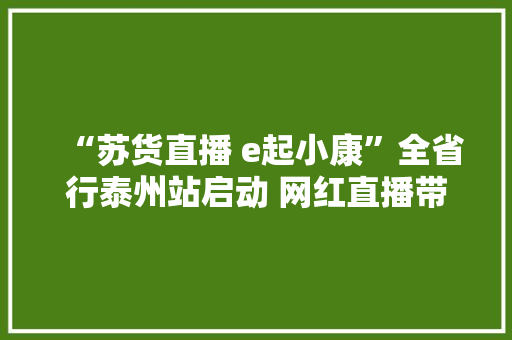 “苏货直播 e起小康”全省行泰州站启动 网红直播带货两小时卖了近50万元