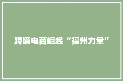 跨境电商崛起“福州力量”