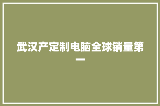 武汉产定制电脑全球销量第一