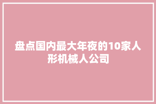 盘点国内最大年夜的10家人形机械人公司