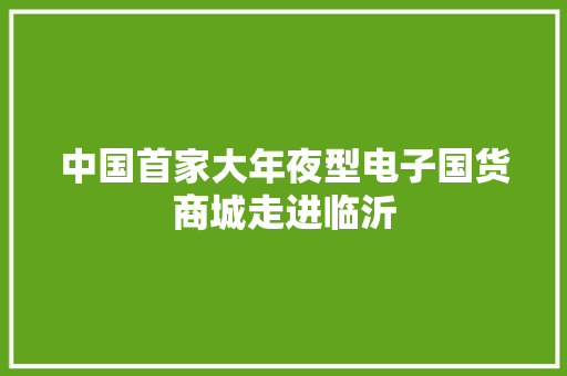 中国首家大年夜型电子国货商城走进临沂