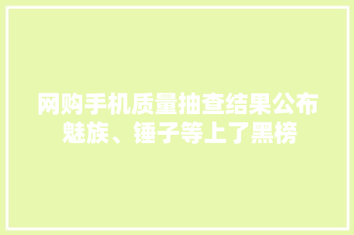 网购手机质量抽查结果公布 魅族、锤子等上了黑榜