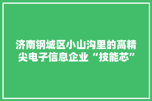 济南钢城区小山沟里的高精尖电子信息企业“技能芯”应用苹果、华为等手机
