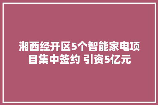 湘西经开区5个智能家电项目集中签约 引资5亿元