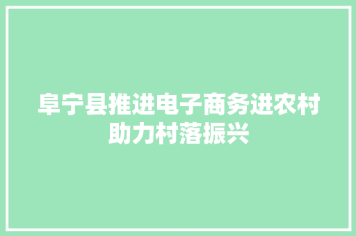 阜宁县推进电子商务进农村助力村落振兴