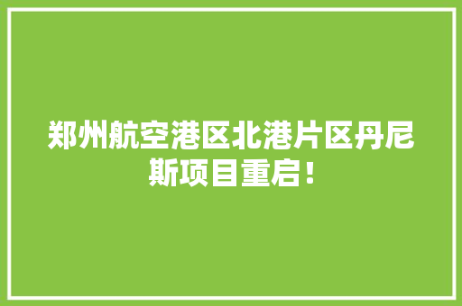 郑州航空港区北港片区丹尼斯项目重启！