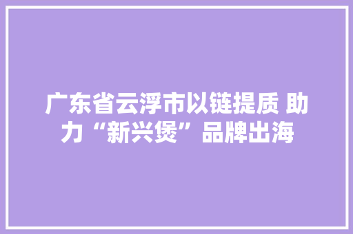 广东省云浮市以链提质 助力“新兴煲”品牌出海 广东省云浮市以链提质 助力“新兴煲”品牌出海 智能家居
