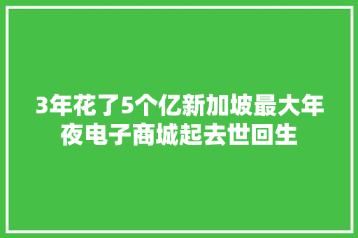 3年花了5个亿新加坡最大年夜电子商城起去世回生 3年花了5个亿新加坡最大年夜电子商城起去世回生 智能科技