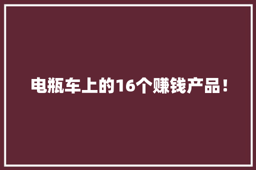 电瓶车上的16个赚钱产品！