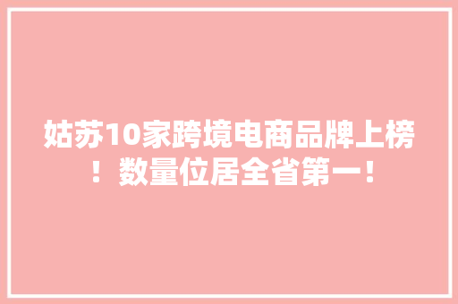 姑苏10家跨境电商品牌上榜！数量位居全省第一！