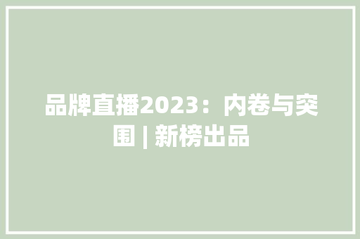 品牌直播2023：内卷与突围 | 新榜出品 品牌直播2023：内卷与突围 | 新榜出品 人工智能