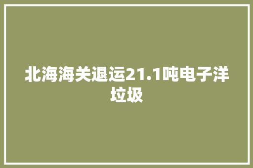 北海海关退运21.1吨电子洋垃圾 北海海关退运21.1吨电子洋垃圾 人工智能