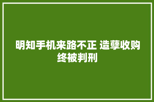 明知手机来路不正 造孽收购终被判刑 明知手机来路不正 造孽收购终被判刑 人工智能