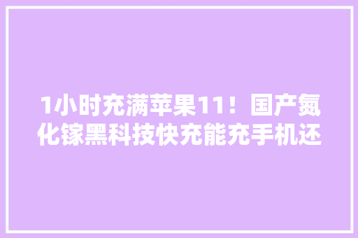 1小时充满苹果11！国产氮化镓黑科技快充能充手机还能充电脑 1小时充满苹果11！国产氮化镓黑科技快充能充手机还能充电脑 人工智能
