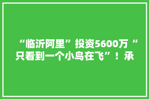 “临沂阿里”投资5600万“只看到一个小鸟在飞”！承建方背后现“江北铜王”现任董事长如今上了“老赖”黑名单 “临沂阿里”投资5600万“只看到一个小鸟在飞”！承建方背后现“江北铜王”现任董事长如今上了“老赖”黑名单 智能科技