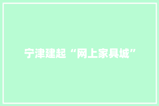 宁津建起“网上家具城”