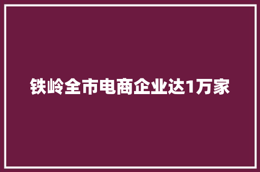 铁岭全市电商企业达1万家 铁岭全市电商企业达1万家 人工智能