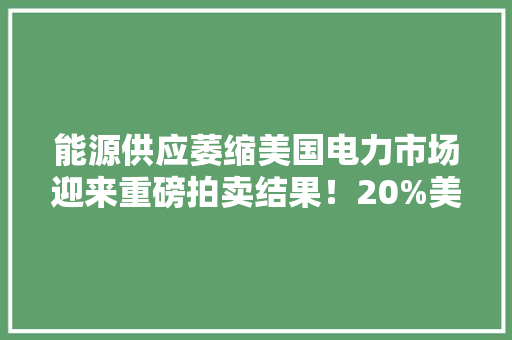 能源供应萎缩美国电力市场迎来重磅拍卖结果！20%美国人面临电价飙涨： 专家称或涨4倍 能源供应萎缩美国电力市场迎来重磅拍卖结果！20%美国人面临电价飙涨： 专家称或涨4倍 智能科技
