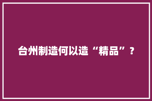 台州制造何以造“精品”？ 台州制造何以造“精品”？ 智能科技