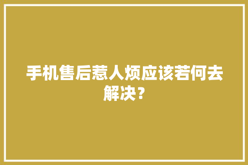 手机售后惹人烦应该若何去解决？ 手机售后惹人烦应该若何去解决？ 人工智能
