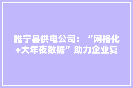 睢宁县供电公司：“网格化+大年夜数据”助力企业复工复产