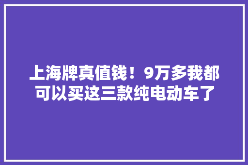 上海牌真值钱！9万多我都可以买这三款纯电动车了