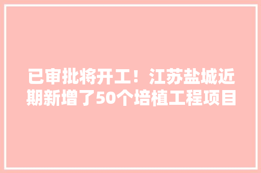 已审批将开工！江苏盐城近期新增了50个培植工程项目商机别错过