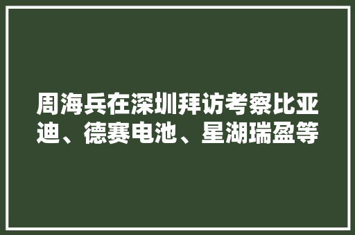 周海兵在深圳拜访考察比亚迪、德赛电池、星湖瑞盈等企业 周海兵在深圳拜访考察比亚迪、德赛电池、星湖瑞盈等企业 智能科技