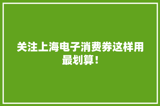 关注上海电子消费券这样用最划算！