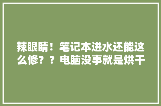 辣眼睛！笔记本进水还能这么修？？电脑没事就是烘干机有点疼