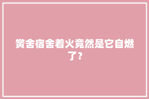 黉舍宿舍着火竟然是它自燃了？