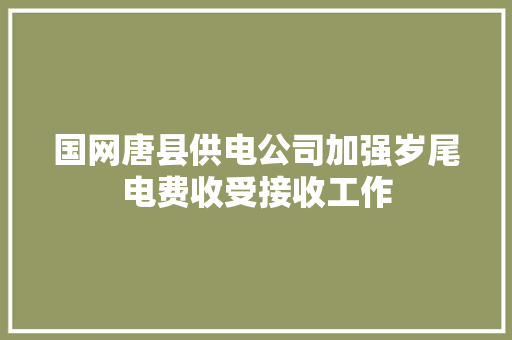 国网唐县供电公司加强岁尾电费收受接收工作 国网唐县供电公司加强岁尾电费收受接收工作 互联通信