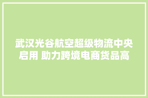 武汉光谷航空超级物流中央启用 助力跨境电商货品高效出境 武汉光谷航空超级物流中央启用 助力跨境电商货品高效出境 人工智能