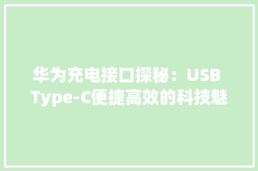 华为充电接口探秘：USB Type-C便捷高效的科技魅力 华为充电接口探秘：USB Type-C便捷高效的科技魅力 智能家居