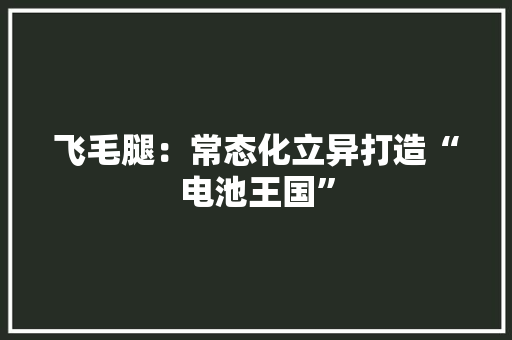 飞毛腿：常态化立异打造“电池王国” 飞毛腿：常态化立异打造“电池王国” 互联通信