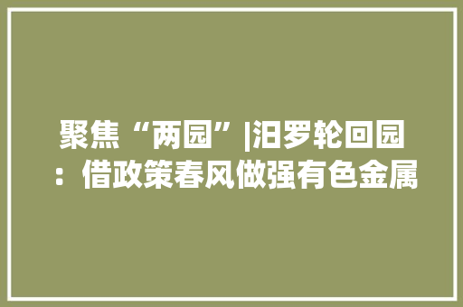 聚焦“两园”|汨罗轮回园：借政策春风做强有色金属精深加工家当链