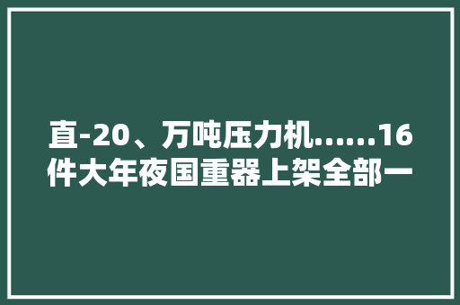 直-20、万吨压力机……16件大年夜国重器上架全部一口价 直-20、万吨压力机……16件大年夜国重器上架全部一口价 人工智能