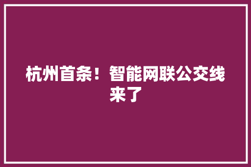 杭州首条！智能网联公交线来了