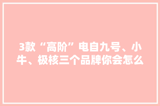 3款“高阶”电自九号、小牛、极核三个品牌你会怎么选？ 3款“高阶”电自九号、小牛、极核三个品牌你会怎么选？ 人工智能