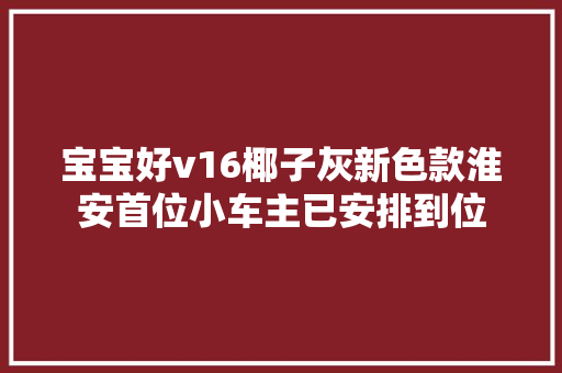 宝宝好v16椰子灰新色款淮安首位小车主已安排到位 宝宝好v16椰子灰新色款淮安首位小车主已安排到位 智能科技