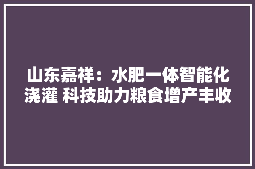 山东嘉祥：水肥一体智能化浇灌 科技助力粮食增产丰收